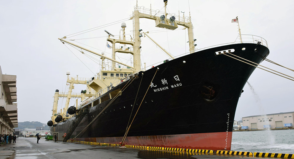 The Nisshin Maru: Japanese Whale Hunting