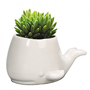 Elephant White Ceramic Flower Pot : Gifts for whale lovers