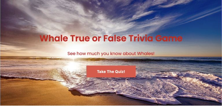 Whale True or False Trivia Game