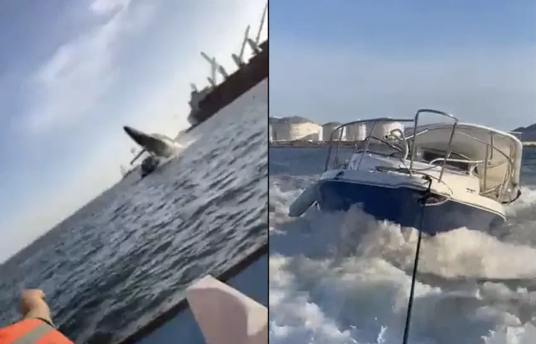 Breaching Humpback Whale Lands on Boat