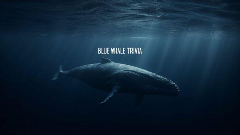 The Blue Whale Challenge: A Trivia Quest with the Ocean’s Behemoth