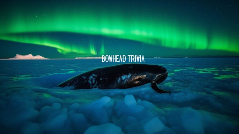 The Bowhead Whale Challenge: Uncover the Secrets of the Frozen Seas