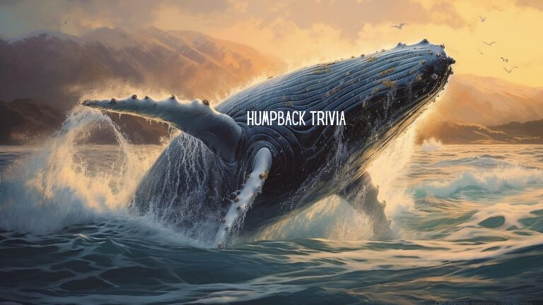 Whale of a Time: A Trivia Adventure with the Humpback Whale